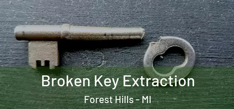Broken Key Extraction Forest Hills - MI