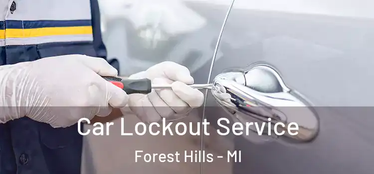 Car Lockout Service Forest Hills - MI