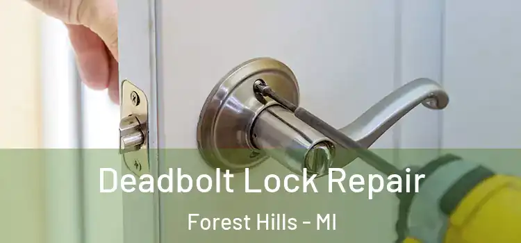 Deadbolt Lock Repair Forest Hills - MI