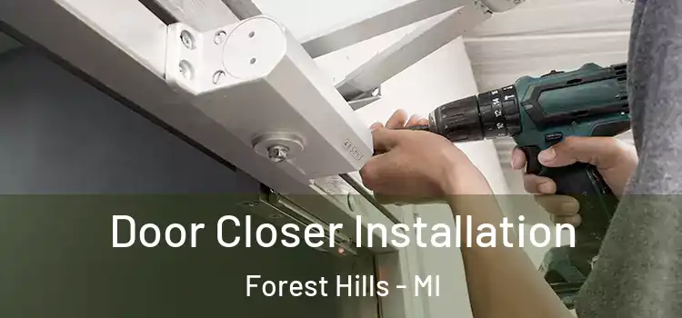  Door Closer Installation Forest Hills - MI