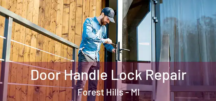 Door Handle Lock Repair Forest Hills - MI