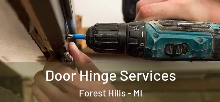 Door Hinge Services Forest Hills - MI