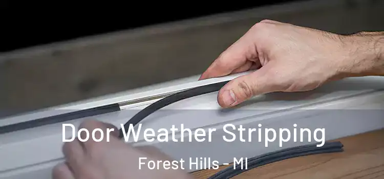 Door Weather Stripping Forest Hills - MI