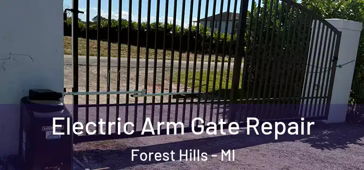 Electric Arm Gate Repair Forest Hills - MI