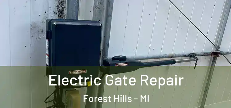 Electric Gate Repair Forest Hills - MI
