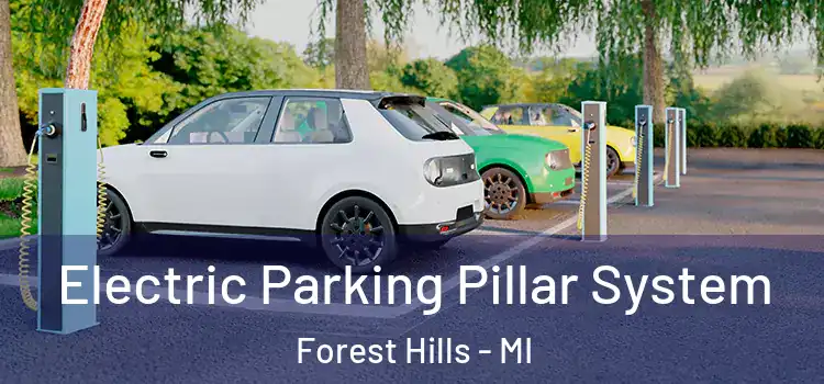  Electric Parking Pillar System Forest Hills - MI