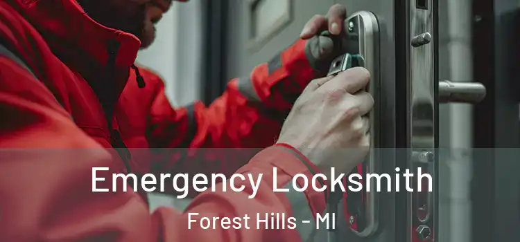 Emergency Locksmith Forest Hills - MI