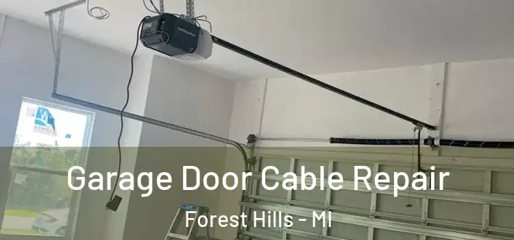  Garage Door Cable Repair Forest Hills - MI