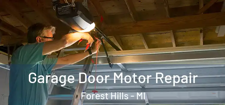  Garage Door Motor Repair Forest Hills - MI