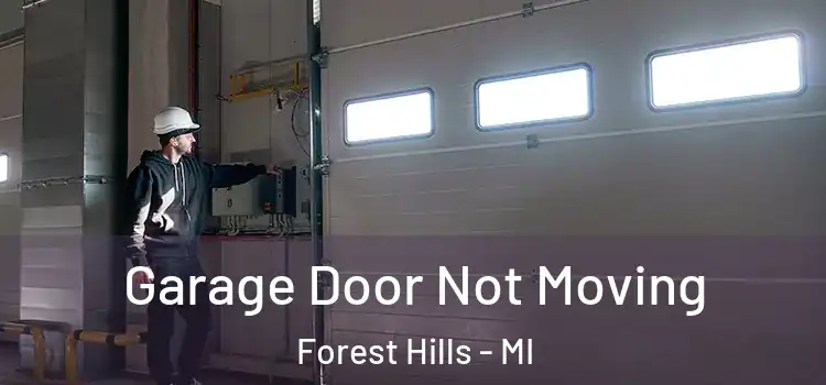  Garage Door Not Moving Forest Hills - MI