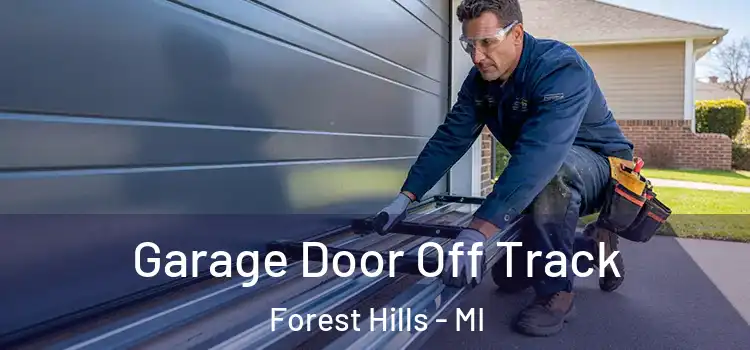 Garage Door Off Track Forest Hills - MI