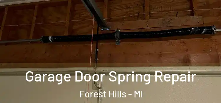  Garage Door Spring Repair Forest Hills - MI
