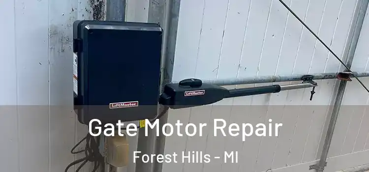 Gate Motor Repair Forest Hills - MI