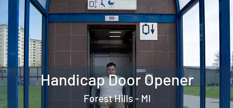 Handicap Door Opener Forest Hills - MI