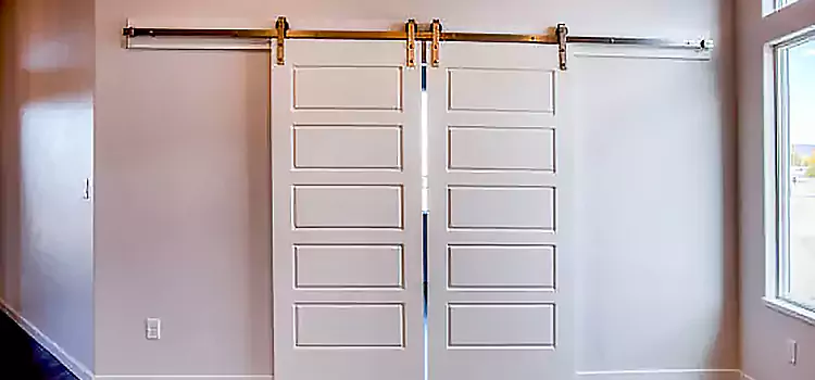 Glass Barn Door with Installation Hardware Kit Forest Hills