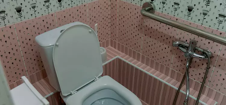 Meeting Diverse Needs With Accessible Restroom Solutions in Forest Hills, MI