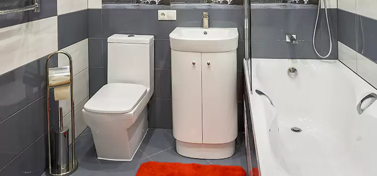 Hansgrohe Shaving Mirror Forest Hills