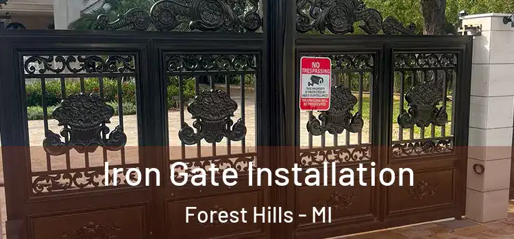  Iron Gate Installation Forest Hills - MI