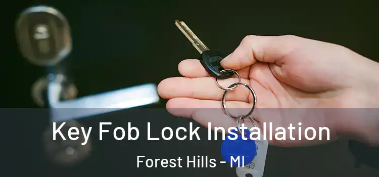 Key Fob Lock Installation Forest Hills - MI