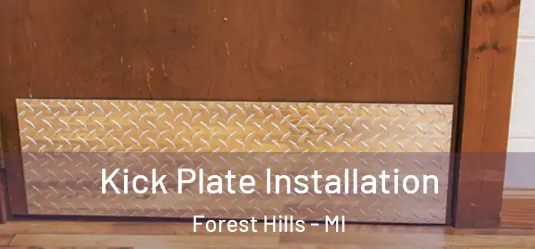  Kick Plate Installation Forest Hills - MI