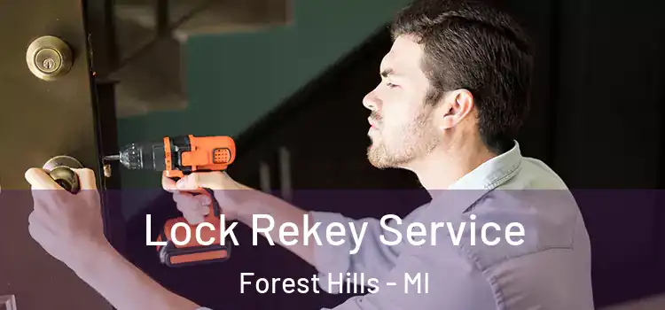  Lock Rekey Service Forest Hills - MI