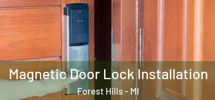  Magnetic Door Lock Installation Forest Hills - MI