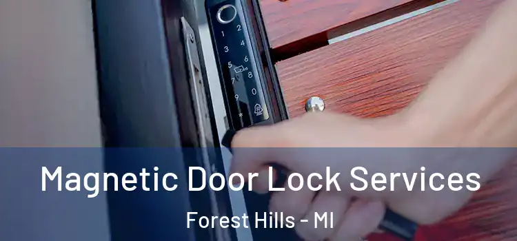 Magnetic Door Lock Services Forest Hills - MI
