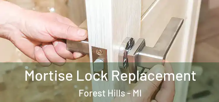  Mortise Lock Replacement Forest Hills - MI