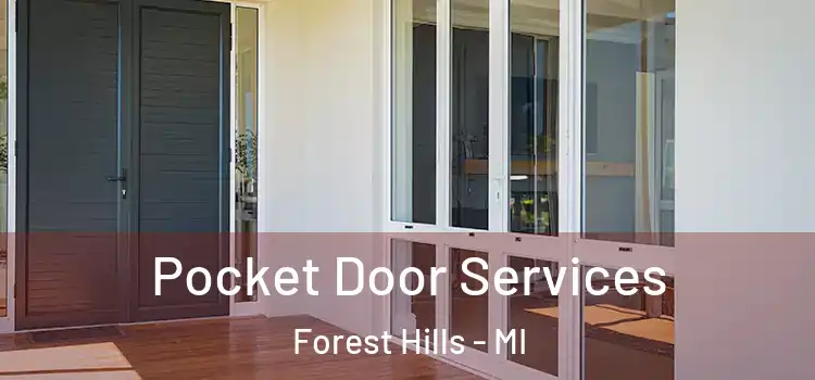  Pocket Door Services Forest Hills - MI