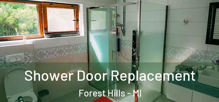  Shower Door Replacement Forest Hills - MI