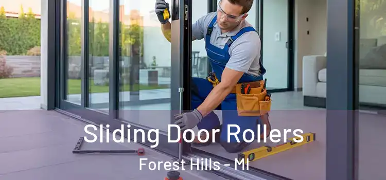  Sliding Door Rollers Forest Hills - MI
