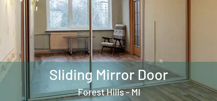  Sliding Mirror Door Forest Hills - MI