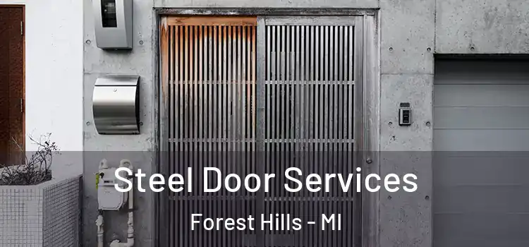 Steel Door Services Forest Hills - MI