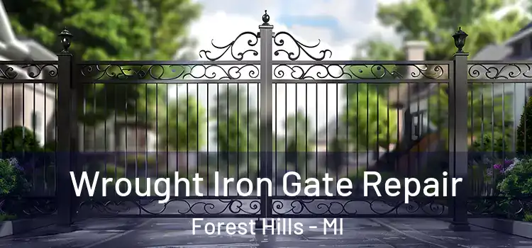  Wrought Iron Gate Repair Forest Hills - MI